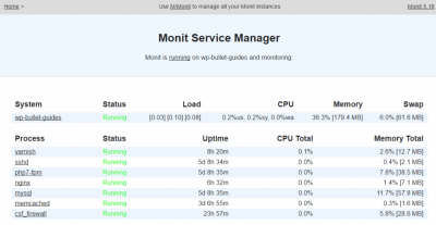 services:monitor.png